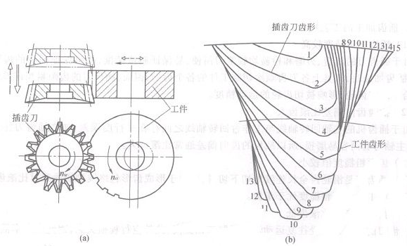 齿轮齿型插齿加工原理
